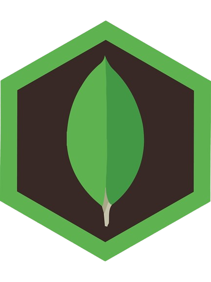 icon5